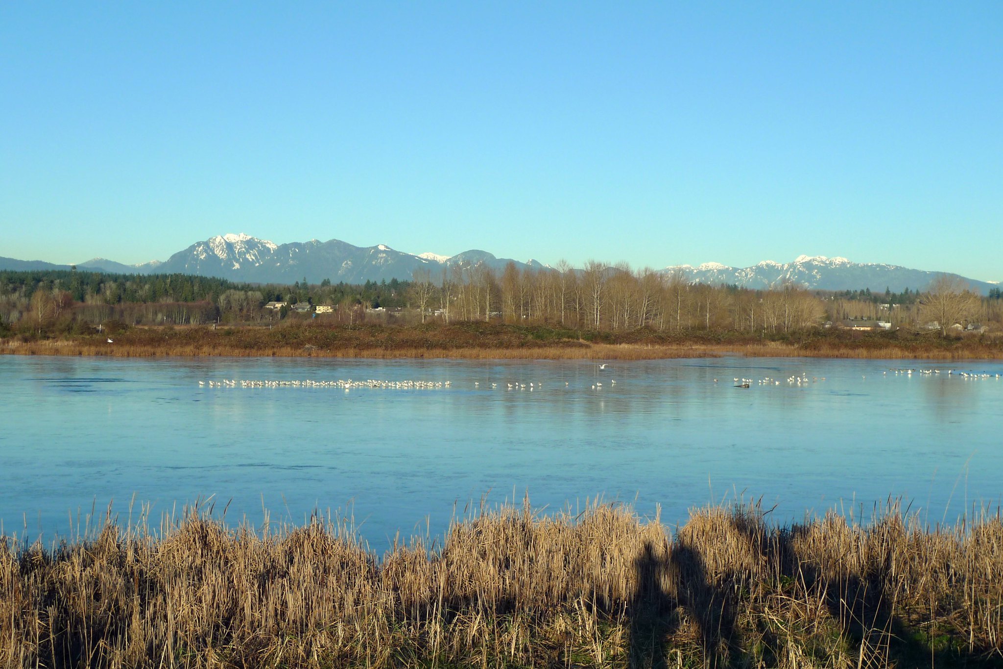 愛歐娜海灘公園南沼澤。（照片來源：Flickr/cc/Ruth Hartnup）